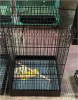 New large bird cage