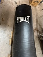 Everlast Boxing /Punching Bag