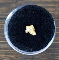 Natural Alaska Gold Rush Nugget #3