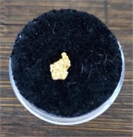 Natural Alaska Gold Rush Nugget #7