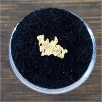 Natural Alaska Gold Rush Nugget #8