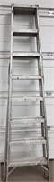 Aluminum Ladder