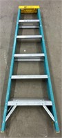 Davidson 6’ Fiberglass Ladder