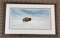 "Monarch Of The Plains" Numbered &Signed COA