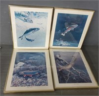 (4)  Fish Pictures In Frames