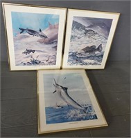 (3) Fish Pictures In Frames