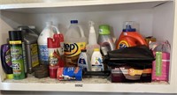 Chemicals on this Shelf  (laundry room)