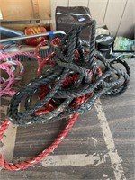3 Cow rope halters