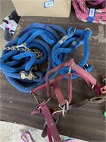2 blue lead lines, 1 small pink halter and 1 blue
