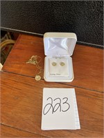 Michael Kors necklace & Sterling Silver earrings