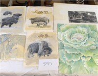 Artwork Collection 
Watercolor by Anderson