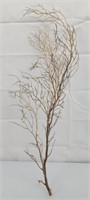 Branch Coral 31"