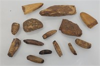 Fossilized whale and/or walrus teeth Alaska