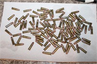 105 Federal 22 Hollow Points