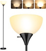 $24  LED Floor Lamp  3-Level Dimmable  Drop-Resist