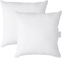 LANE LINEN 22x22 Pillow Insert - Pack of 2 White D
