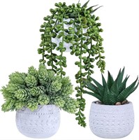 Winlyn 3 Pcs Assorted Small Potted Succulent Plant