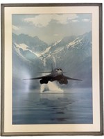 Framed Aviation Art