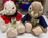 Peter Rabbit Stuffed Rabbits