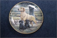 A Collector's Plate by Ruane Manning