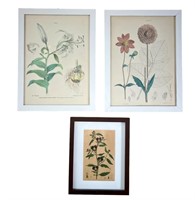 3pc Framed Flower Pictures