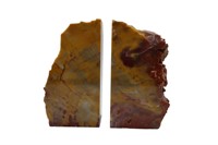 Petrified Wood Arizona Bookends