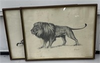 (H) Framed Black & White Prints Of Tiger And Lion