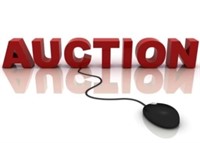 On-line auction only