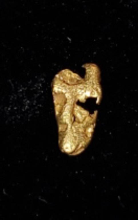 Gold Nugget #1