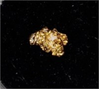 Gold Nugget #5