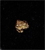 Gold Nugget #7