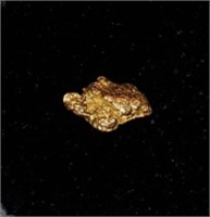 Gold Nugget #6