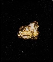 Gold Nugget #8