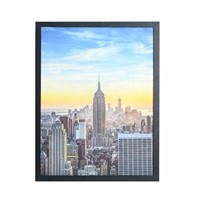 Frame Amo 19x26 Black Modern Picture or Poster