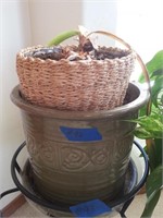 LIVING POTTED HOUSE PLANT #4