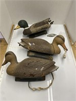 Mallard Duck Decoys