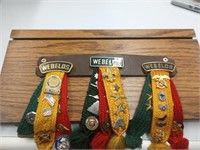 Webelos awards (approx 38 pins)