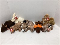 Eight Ty Beanie Babies Animals