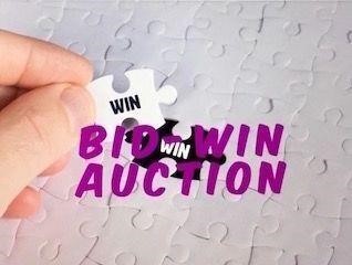 BID-WIN AUCTION LOGO - NOT FOR SALE
