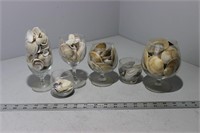 Large Lot of Assorted Sea Shells