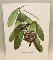 1974 Ray Harm Signed Black-Throated Blue Warbler