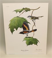 1974 Ray Harm Signed Print American Redstart Bird