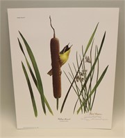 1973 Ray Harm Signed Print Yellow-Throated Warbler