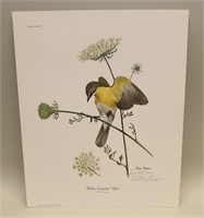 1973 Ray Harm Signed Print Yellow-Throated Chat