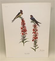 1974 Ray Harm Signed Print Barn Swallows Birds
