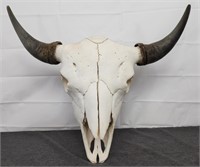 Buffalo / Bison Skull 27" x 22"