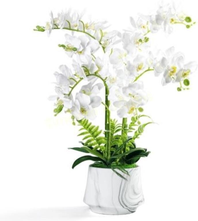 Silk Orchid in Vase  Fake Plant  White 03/04