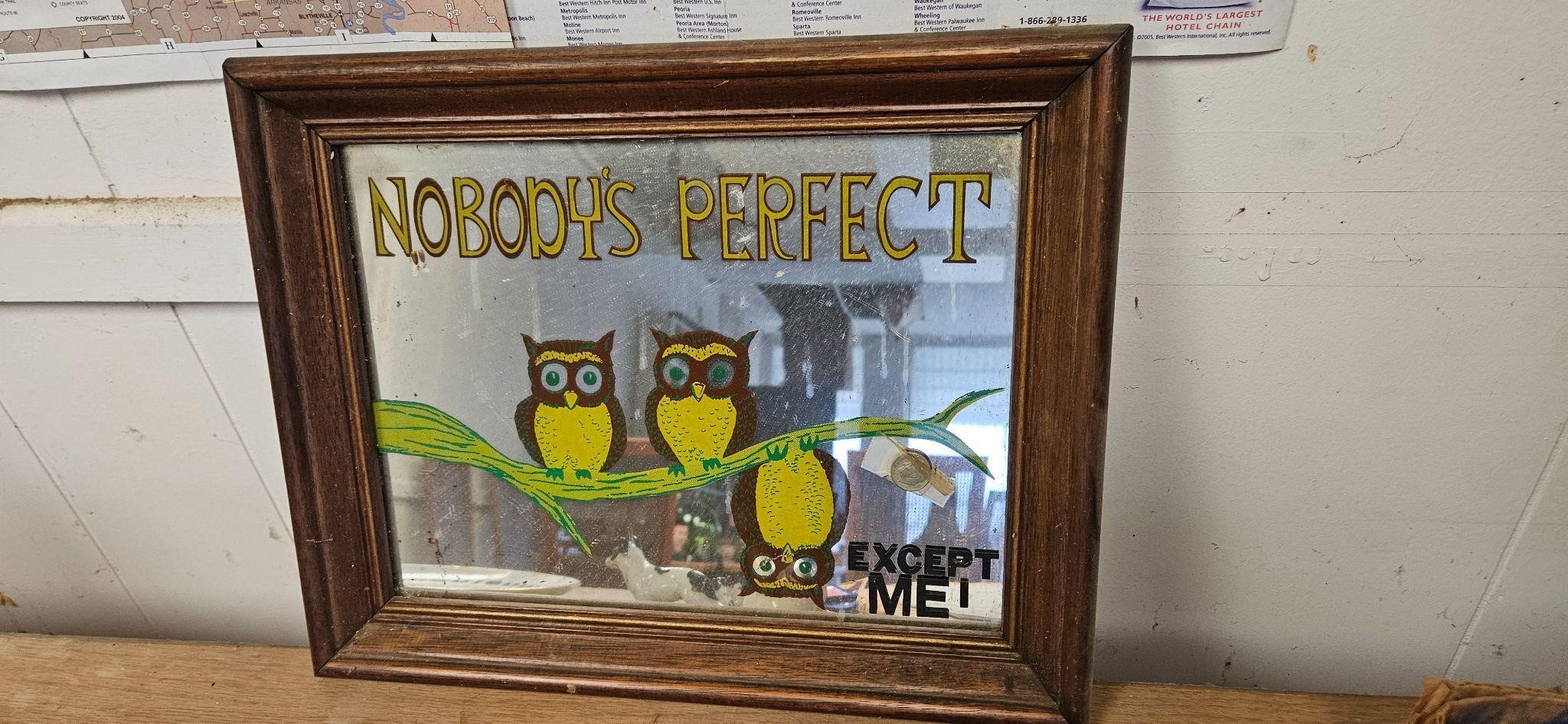 Nobody's Perfect Owl Mirror