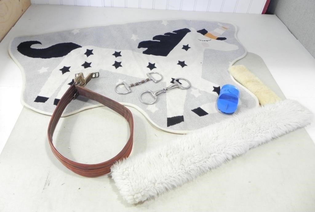 ASSTD HORSE CARE ACCESSORIES-BLANKET, STRAP, ETC