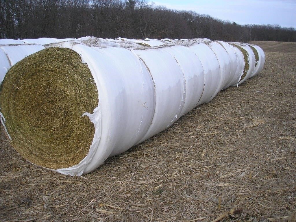 (10) 4' X 5' ROUND BALES